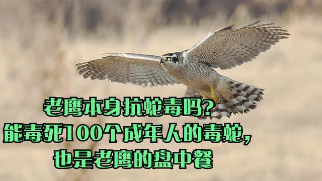 0?fmt=jpg&size=39&h=360&w=640&ppv=1