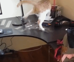 搞笑gif:孩子或许这是你人生的巅峰,你要懂的