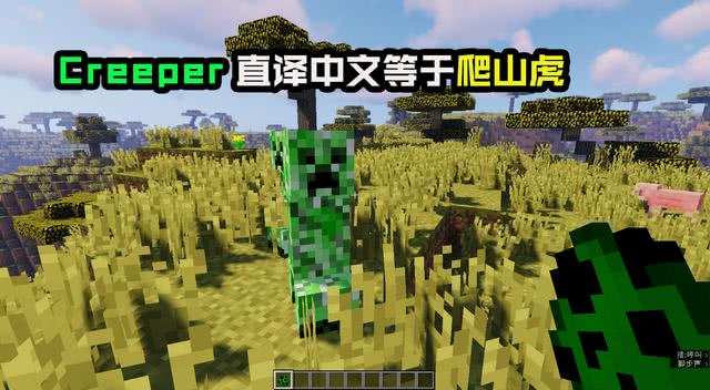 我的世界 将生物名称翻译成英文 再翻译回中文 会得到什么 看点快报