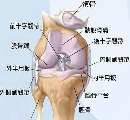 半月板损伤后不能运动 其实也没那么可怕 看点快报