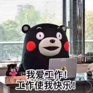 四川事业单位招聘啦!专科可报!岗位多,福利好哦!