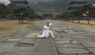 不仅有七星螳螂拳(又名罗汉螳螂拳),梅花螳螂拳(又名太极螳螂拳)