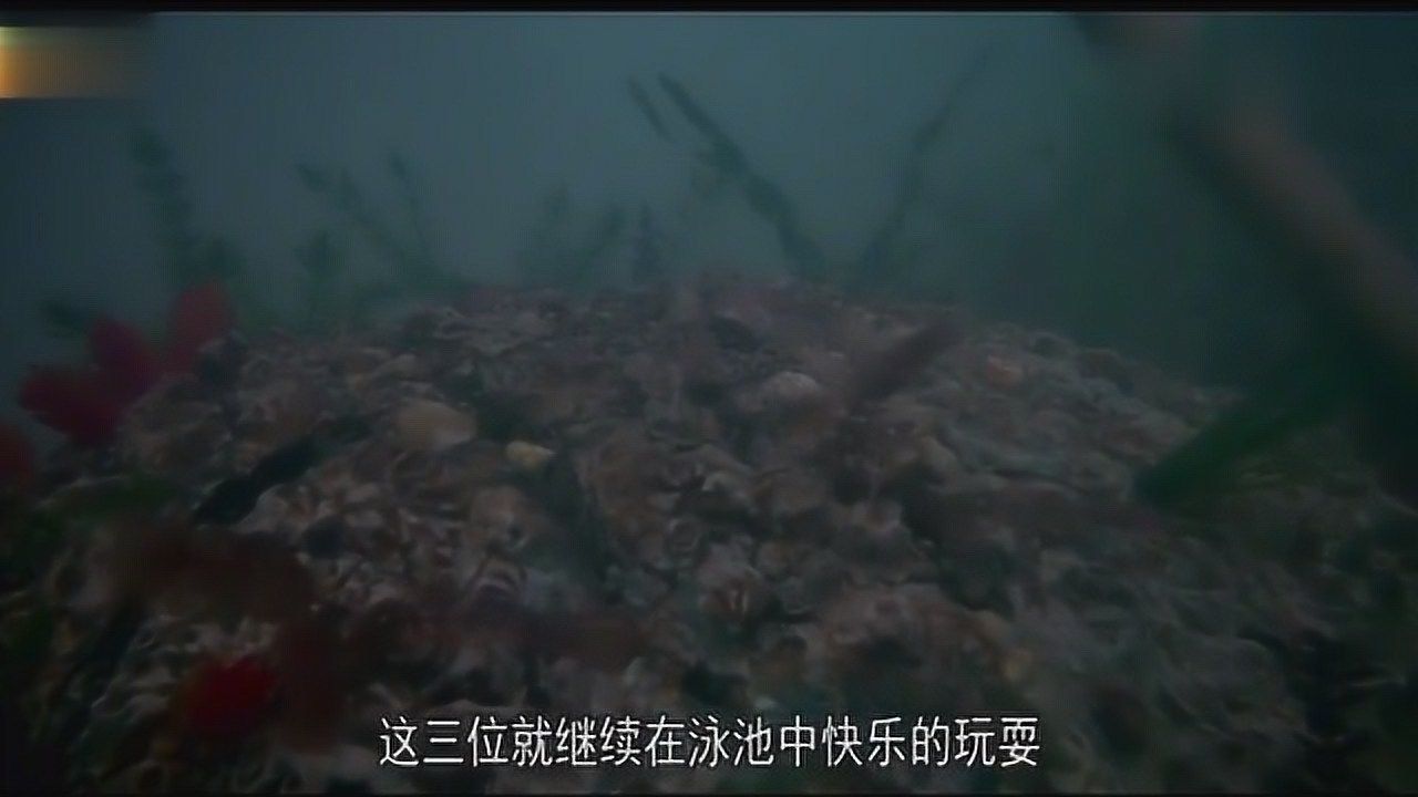 梦境的迷雾，探索连续梦见同一女子的心理奥秘