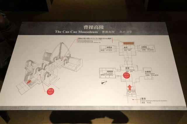 中国重大考古研究 曹操dna鉴定工作正式开启 看点快报