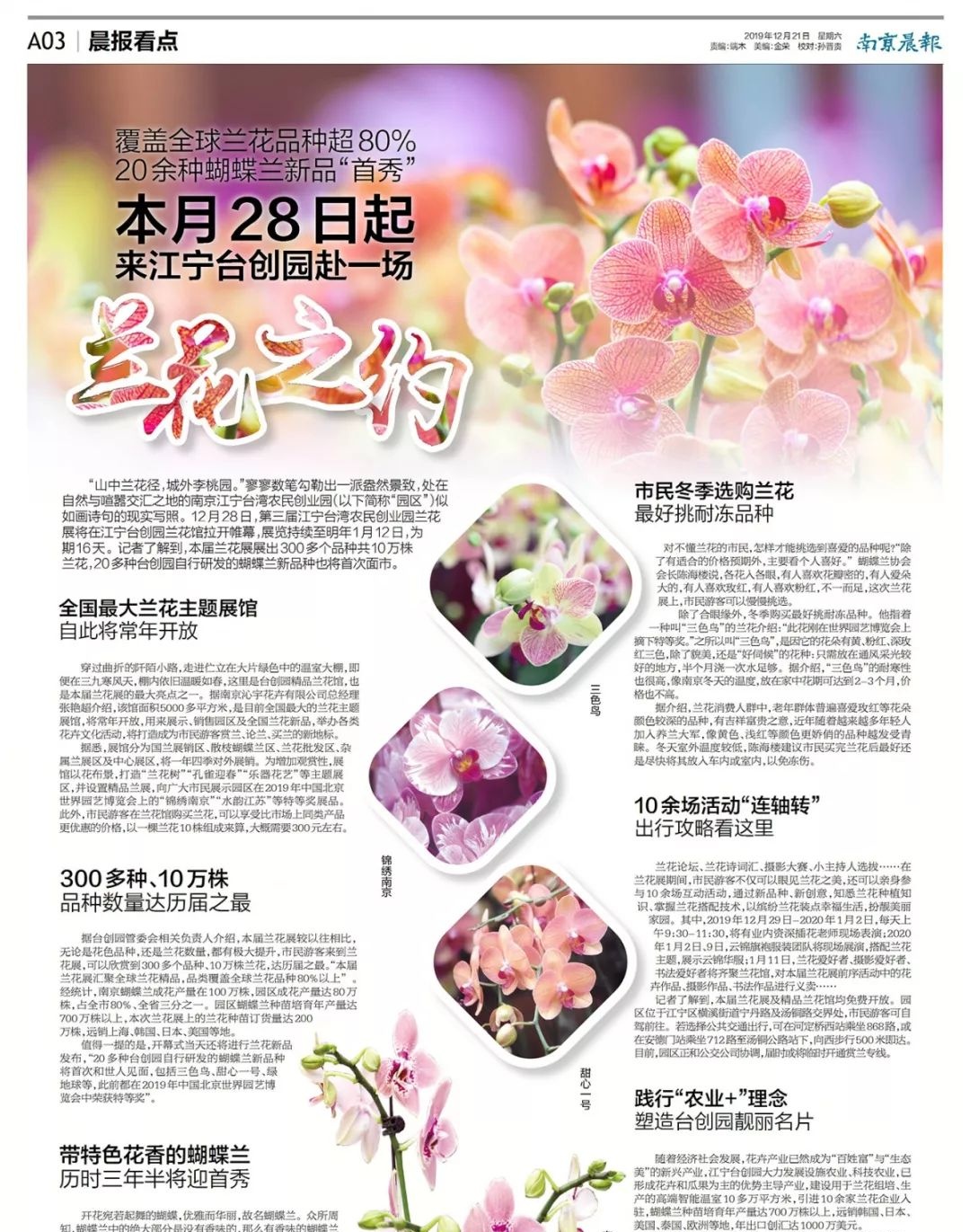 余种蝴蝶兰新品 首秀 12月28日起来江宁台创园赴一场兰花之约 看点快报