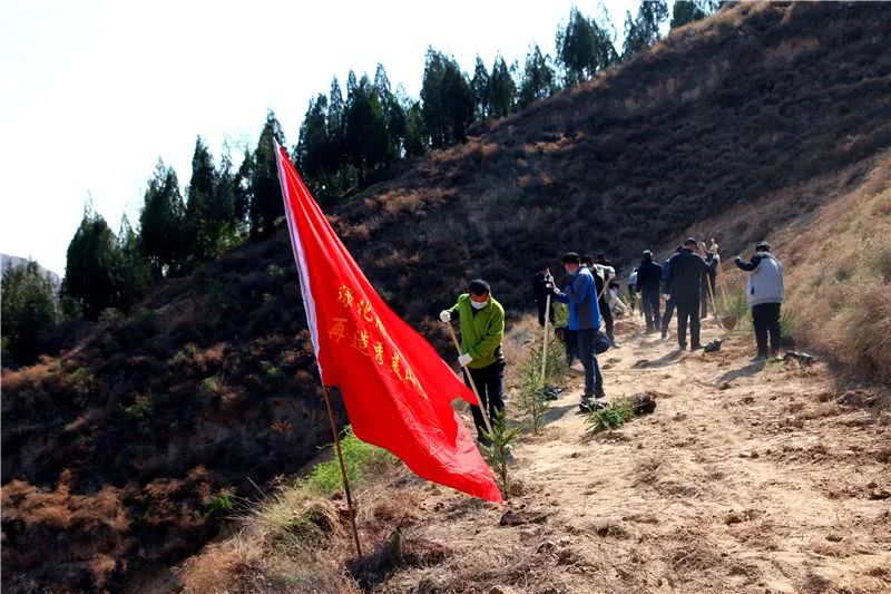 西固区政协开展创建 政协委员林 义务植树活动 看点快报