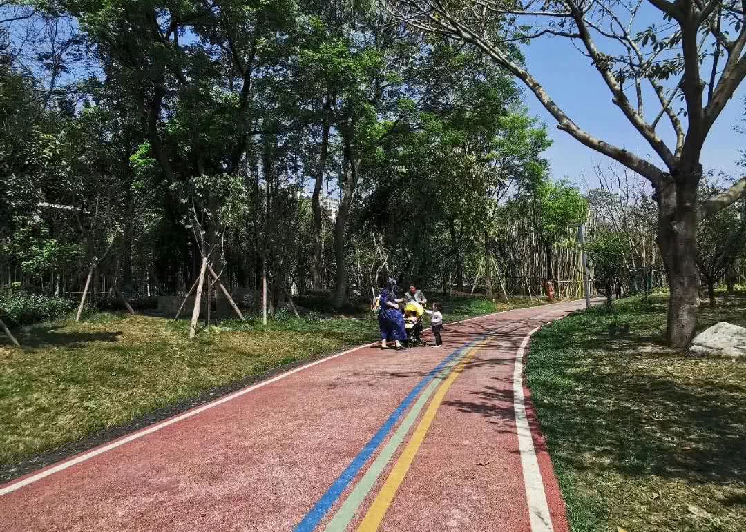 游玩,青羊区,成都,阳光,绿道,湿地,野趣,宝藏,打卡