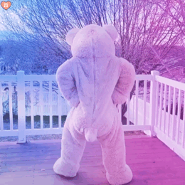 会跳舞的熊gif动图表情包