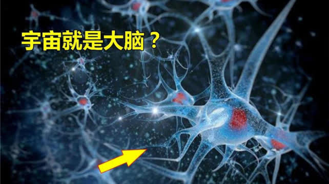 宇宙竟然是大脑,这种新说法,让很多人都慌了