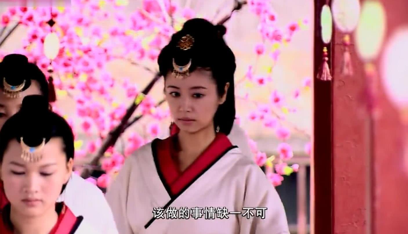 魏璎珞,杜云汐,宫锁心玉,刘三好,大清后宫,宫心计2,延禧攻略,步步惊心,母仪天下,美人心计,陆贞传奇,王政君,马尔泰若曦,洛晴川