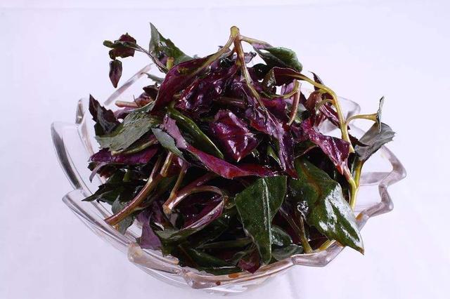 农村紫色野草,味道好却不知有很多功效,价格高很受市场欢迎