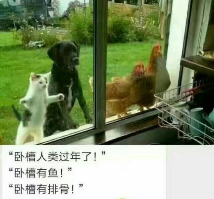 搞笑的图片,让人喷饭,看到第六张,笑的我都抽筋了