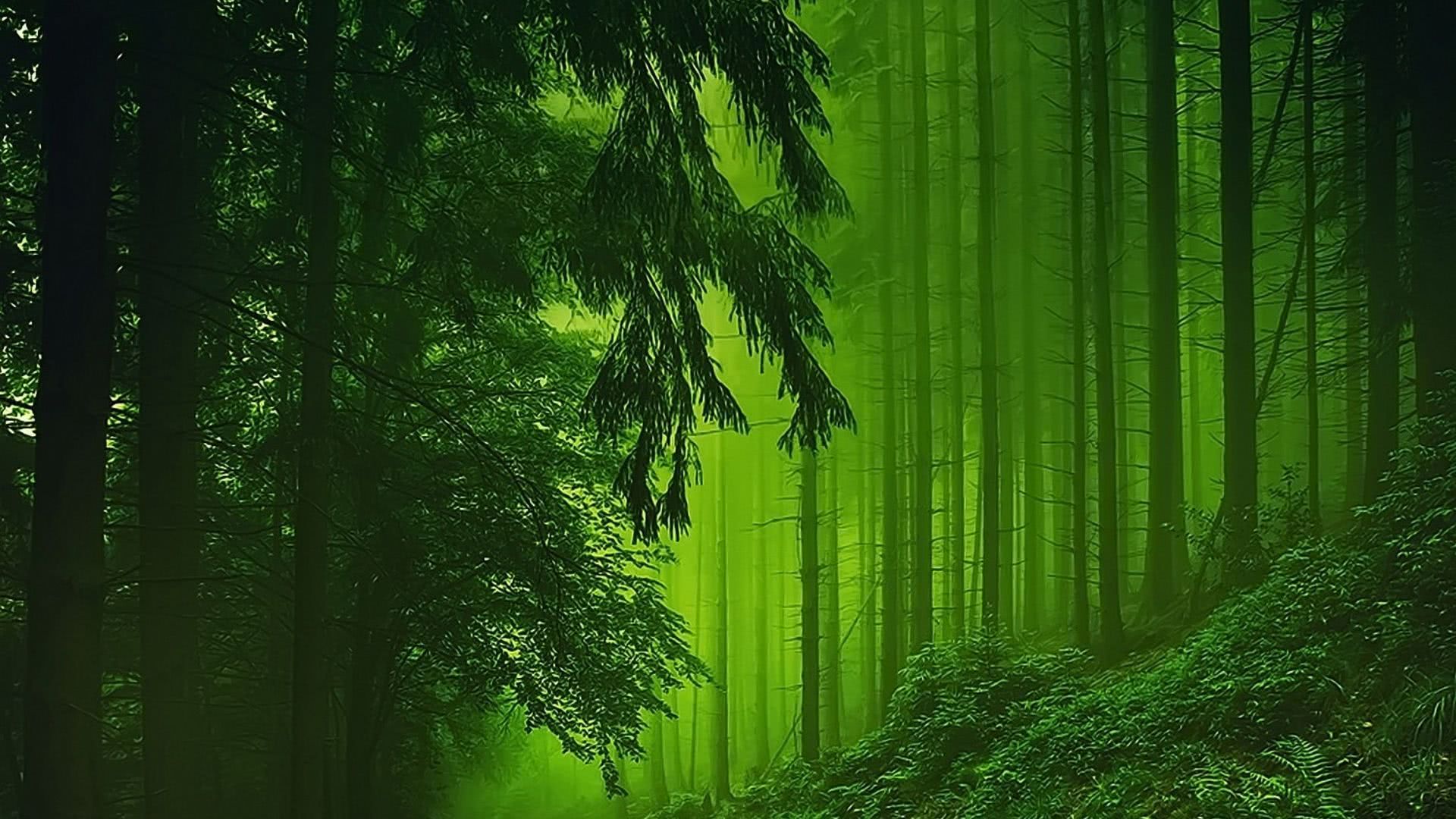 护眼,视网膜,保护视力