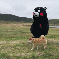 聊天必备搞笑沙雕表情包
