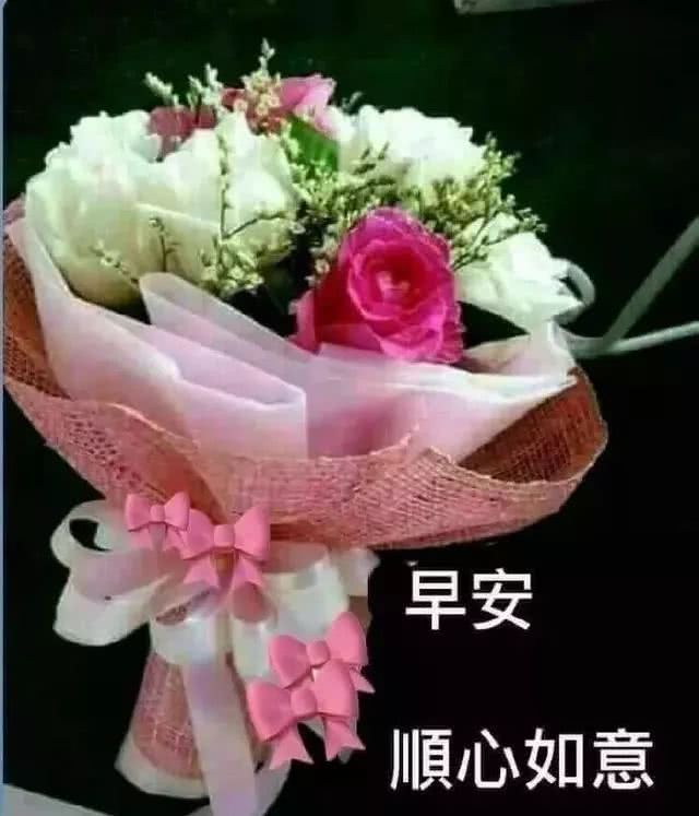 朋友圈最新漂亮早上好图片动态带字,最美早安问候语动态图片大全!