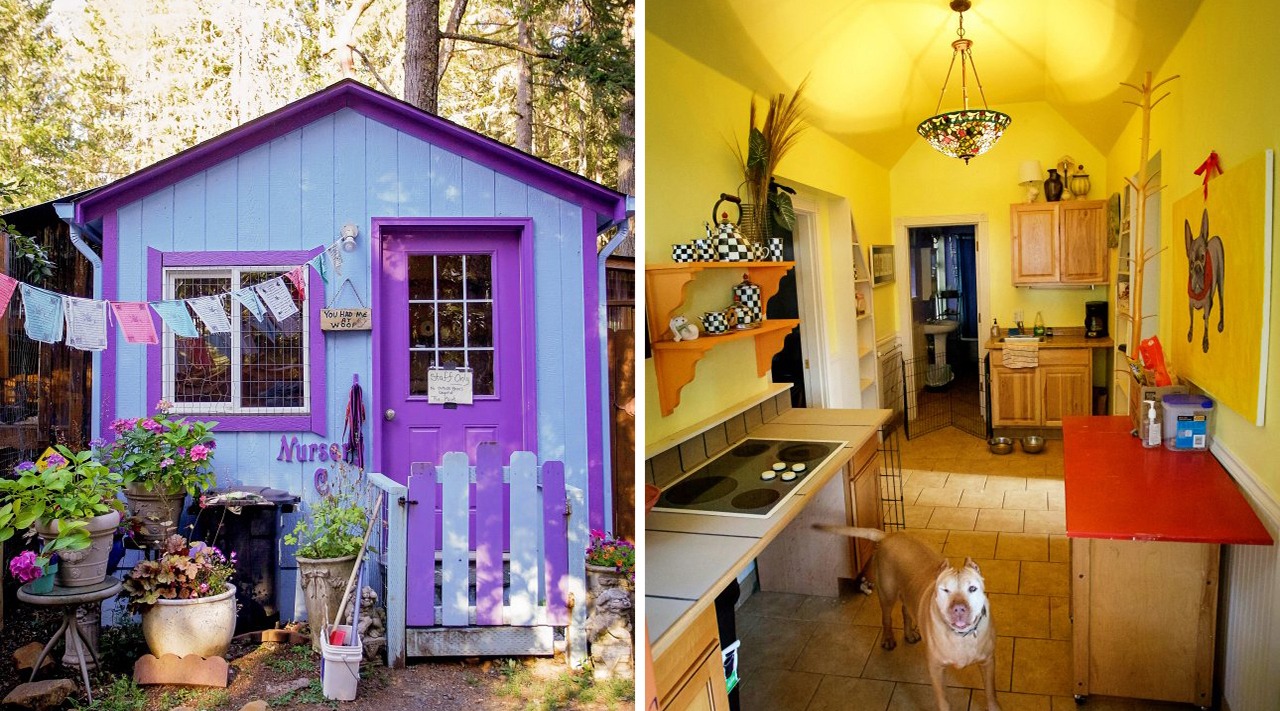 0?fmt=jpg&size=334&h=711&w=1280&ppv=1