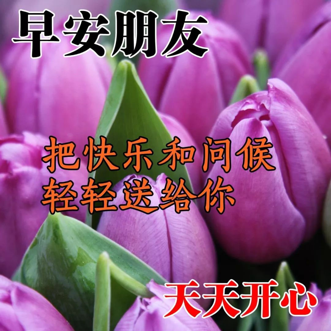 2020早安问候语每日更新 早上好的祝福图片