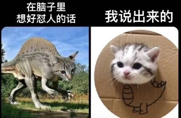 搞笑gif比起设计师更佩服施工方
