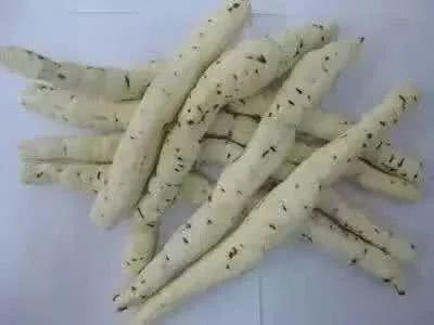 这草药曾为贡品 可治胃病 肾病 筋骨病 看点快报