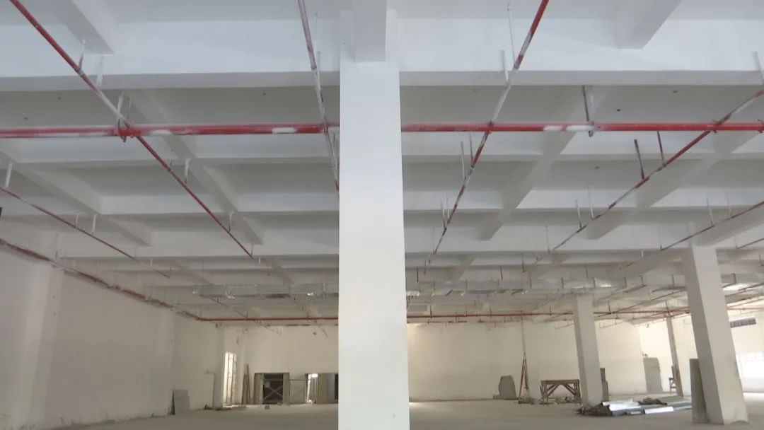 洋浦保税港区外贸仓库项目按下 复工键 看点快报