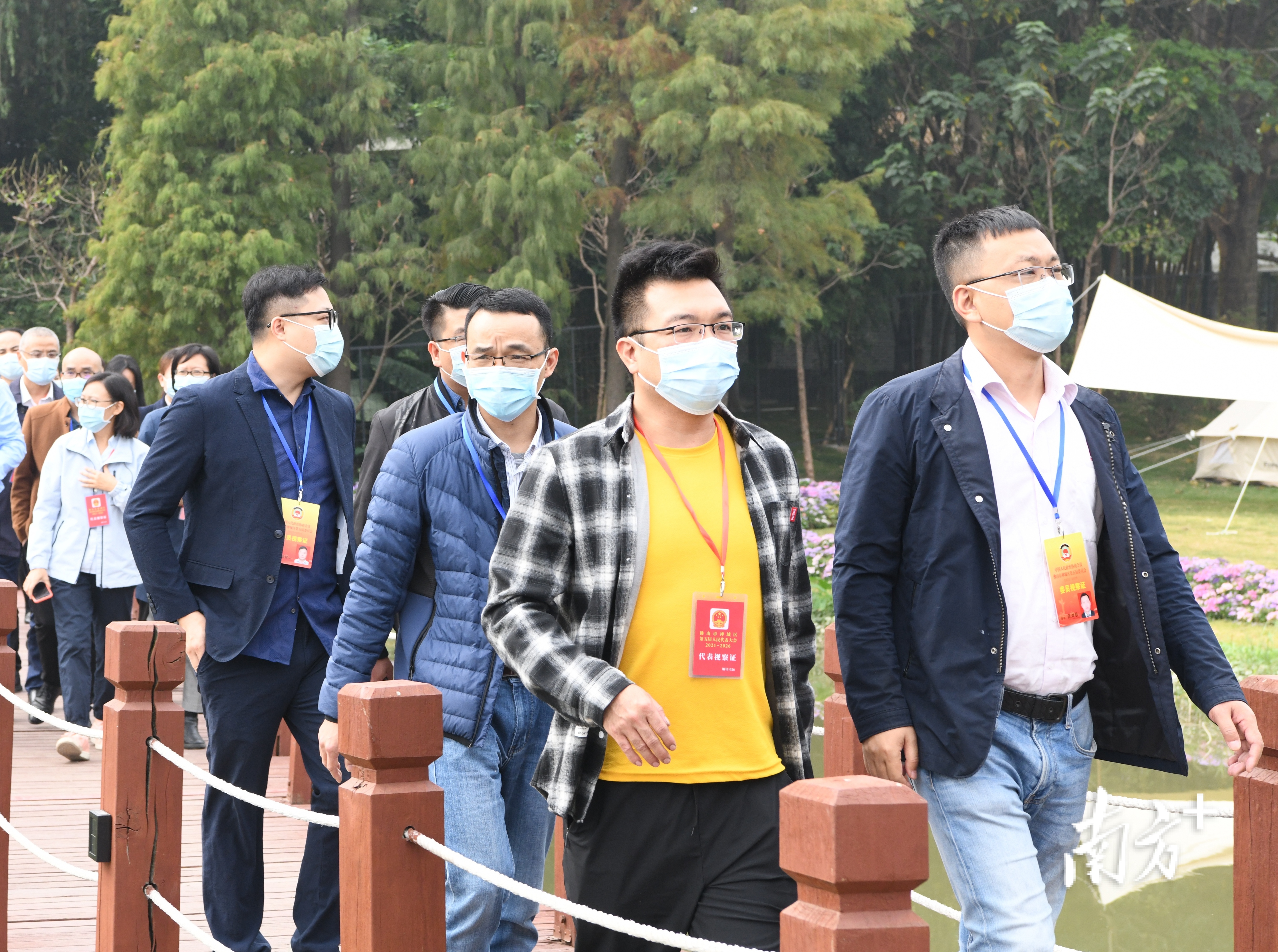 政协,禅城,区政协,禅城区政协,政协委员,禅城区委,禅城区,协商