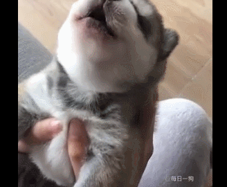 在猛男文化世界里的 恶龙咆哮是这样的