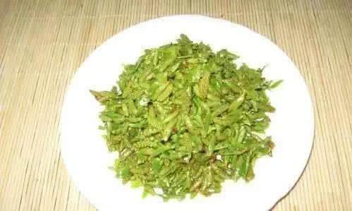 人参一堆 不如它一株 辅助降血压防三高 春天吃它最好 看点快报