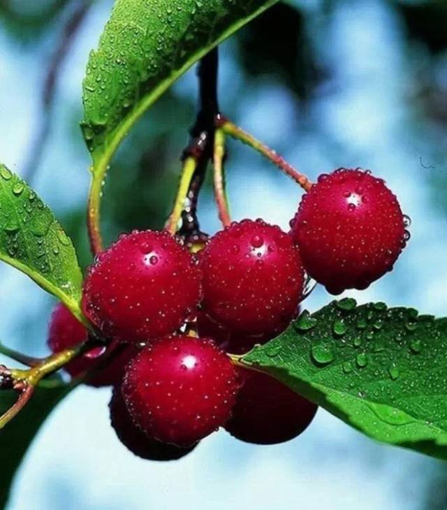 20171030150223_36s6xu8d13.jpg?v=1769802991289