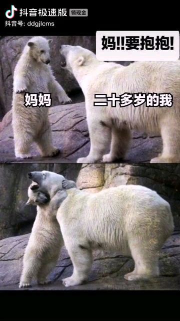 淘宠物文案沙雕，关于宠物的沙雕文案