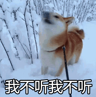 柴犬表情包合集