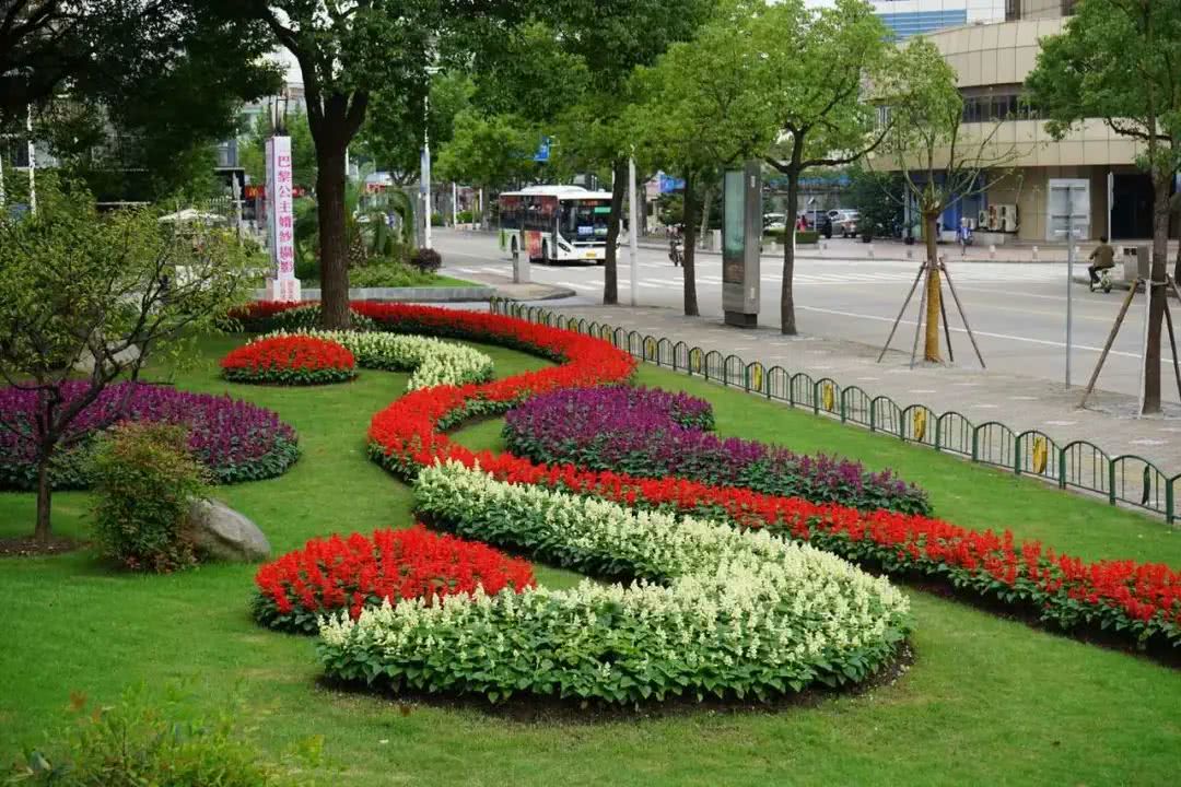 张杨路,人民公园,闵行体育公园