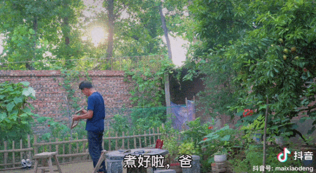 登上央视,这位95后为父辞职回村当网红,俘获210万粉.