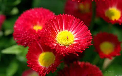 八字组合佳 能发财以后又能婚姻幸福的命 看点快报