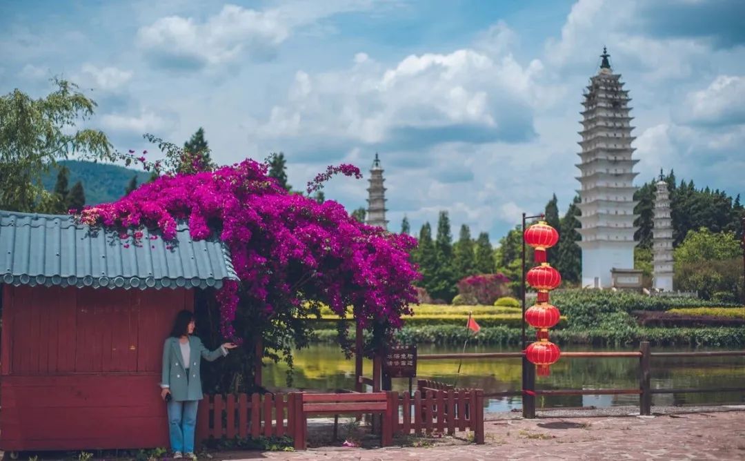 云南民族村,云南野生动物园