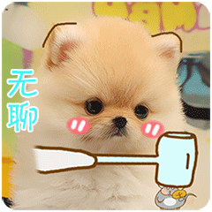 好无聊微信动态表情图