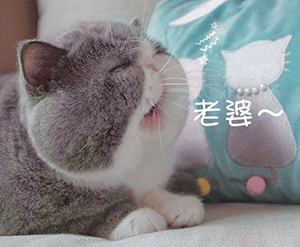 接着奏乐,接着舞