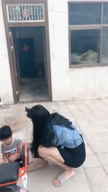 恶搞保险裤视频，恶搞保险图片