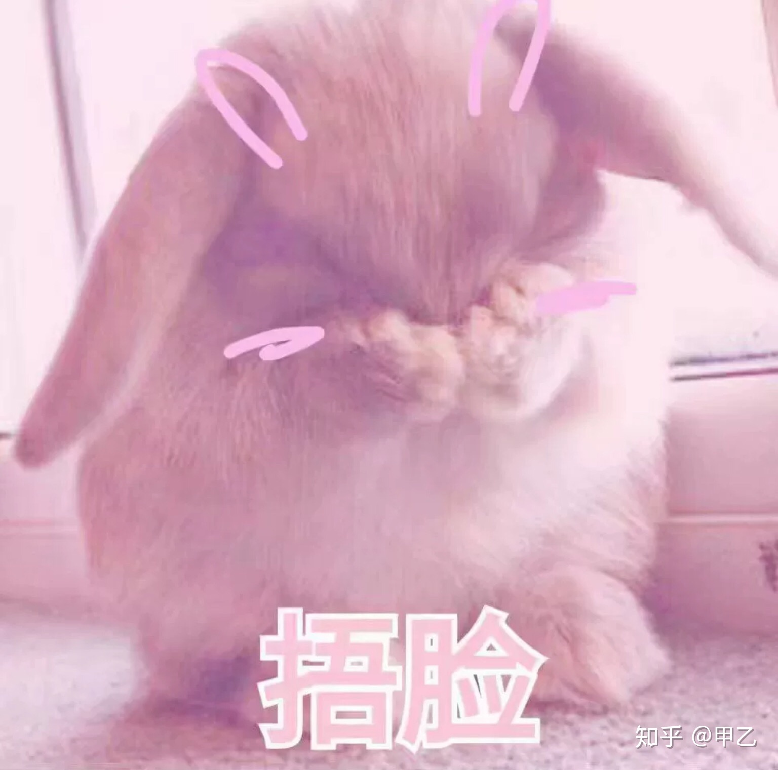 0?fmt=jpg&size=123&h=891&w=900&ppv=1