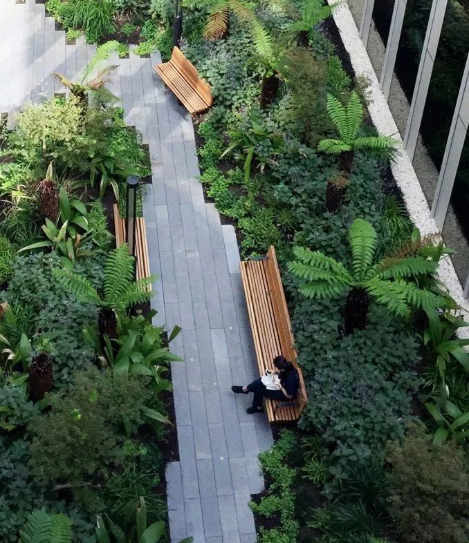 景观设计 常用的庭院景观植物搭配技巧 值得学习收藏 看点快报