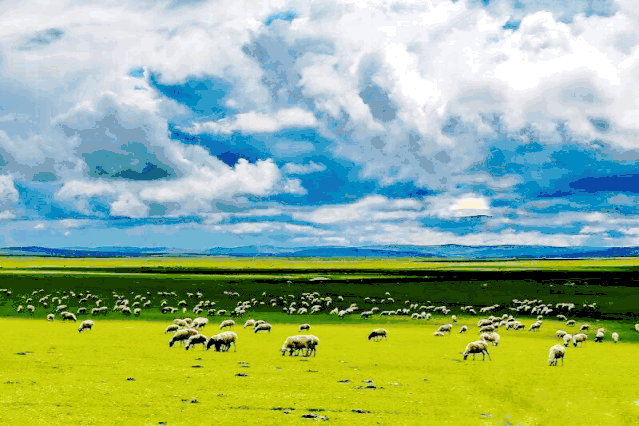 石渠,石渠县,松格嘛呢石经城,扎溪卡草原,阿拉姆,春色,画卷