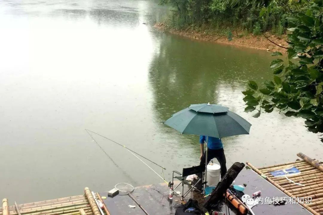 钓鱼和天气有哪些关系?天气对钓鱼的影响