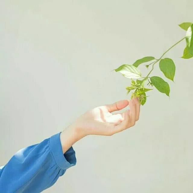 适合做微信头像的风景图片