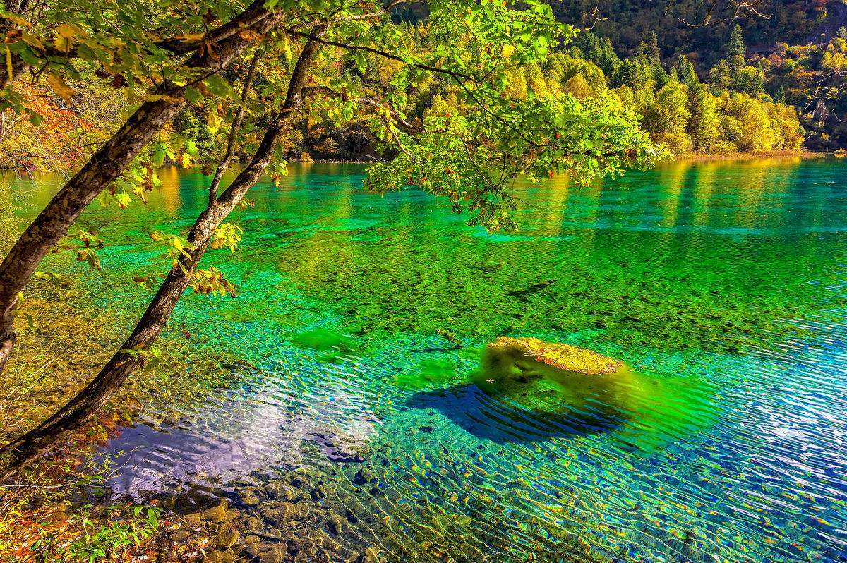 九寨沟之五花海 看点快报