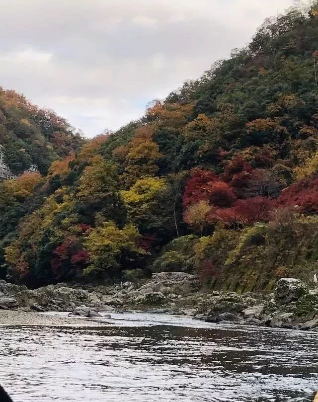 岚山保津峡游船看尽两岸层林浸染的红叶风光 游动的新体验 看点快报