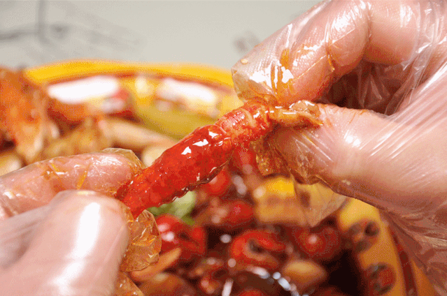 串一个同心圆……