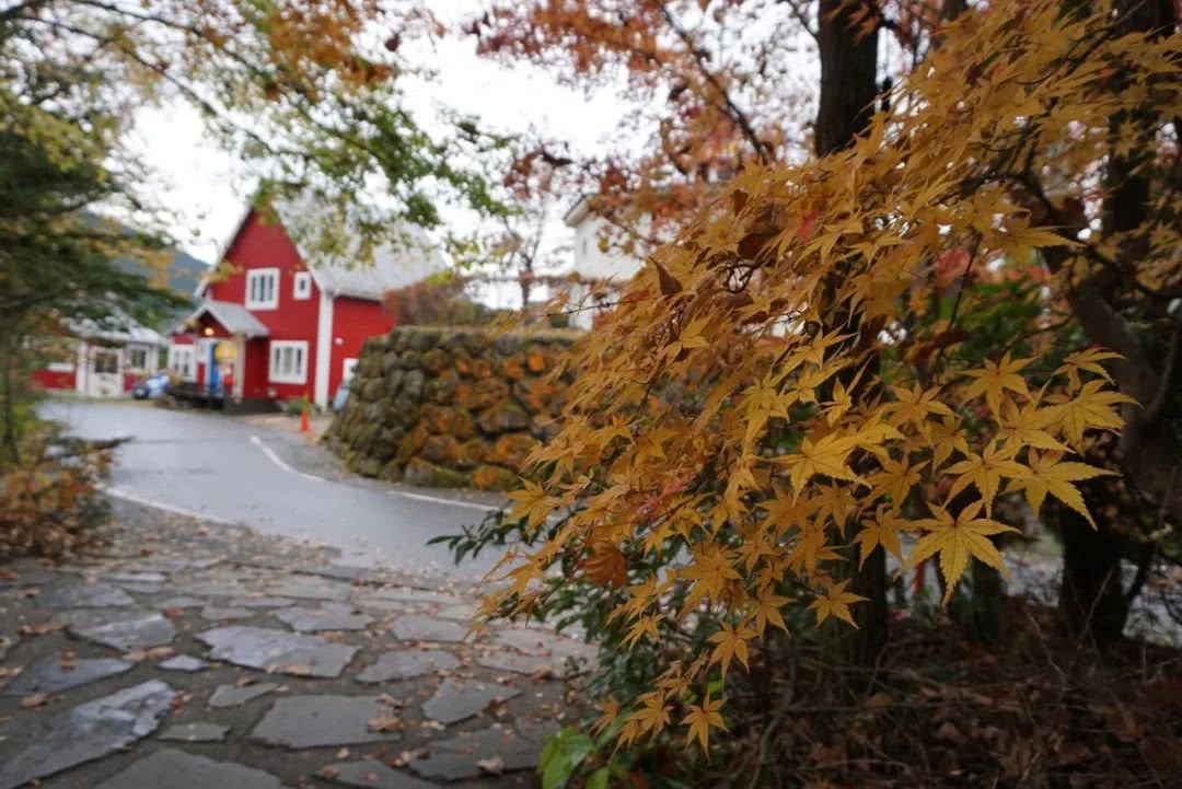 私藏红叶小径和露天汤池 都在可爱的由布院 看点快报