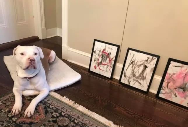 美国天才狗狗用尾巴作画主人赚翻了 看点快报