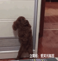 爆笑gif:姑娘你这眼睫毛恐怕是撑不住了啊!哈哈没谁了