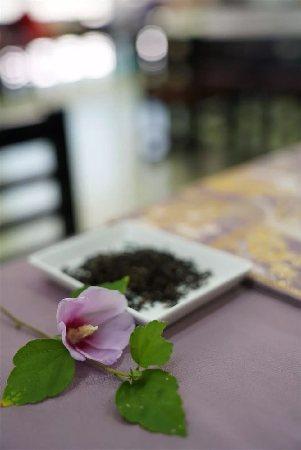 花战 回归本心 为美而战 看点快报