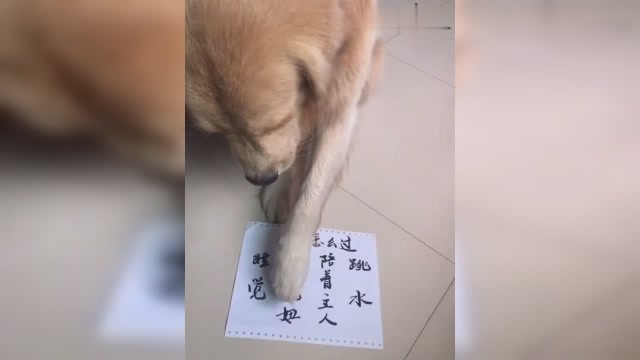 0?fmt=jpg&size=20&rs=15-14&h=360&w=640&ppv=1